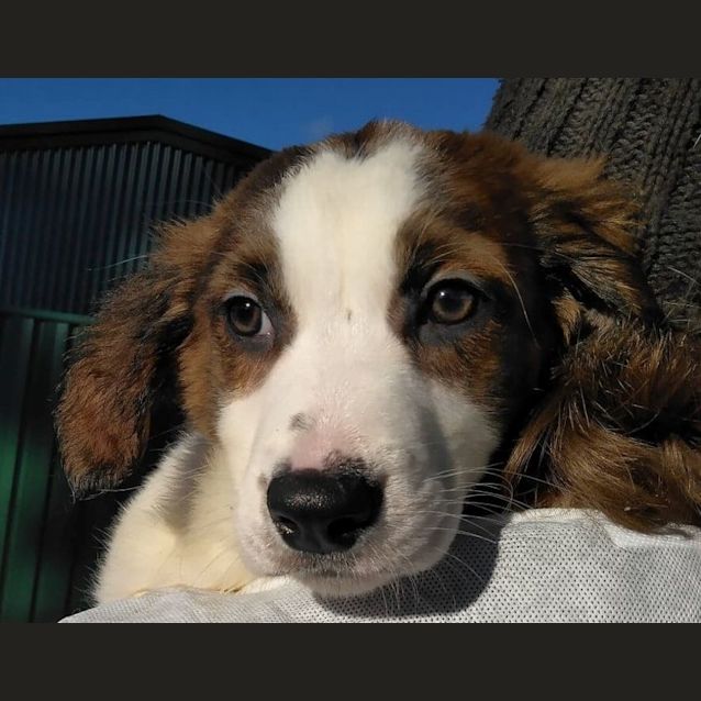 Photo of Penelope