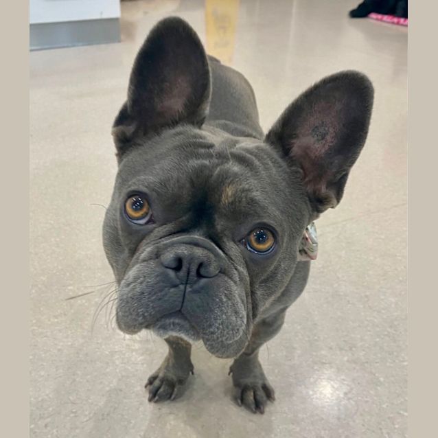 Photo of Winnie 