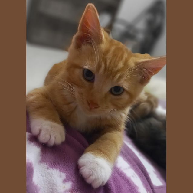 Photo of Kobe