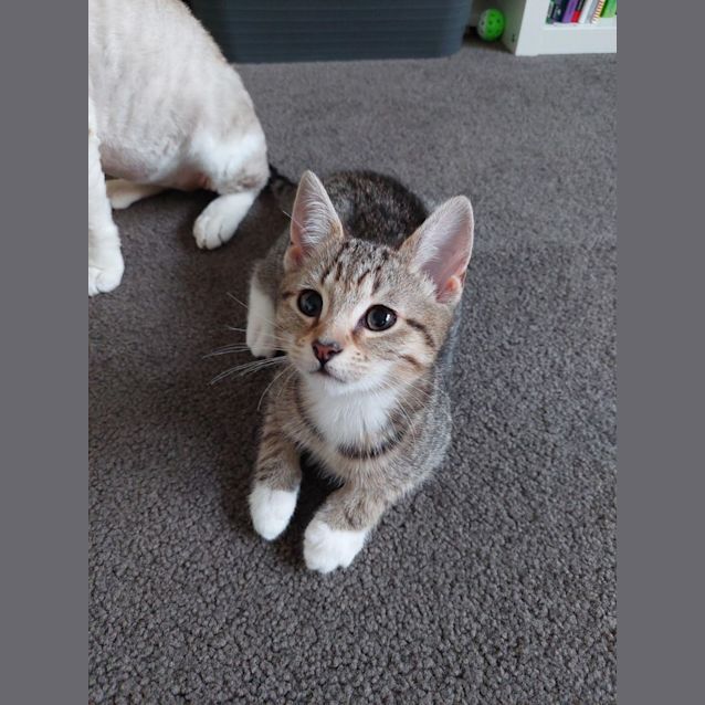 Photo of Princess Tabitha