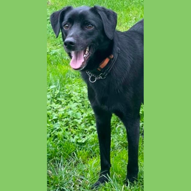 Photo of Jett 