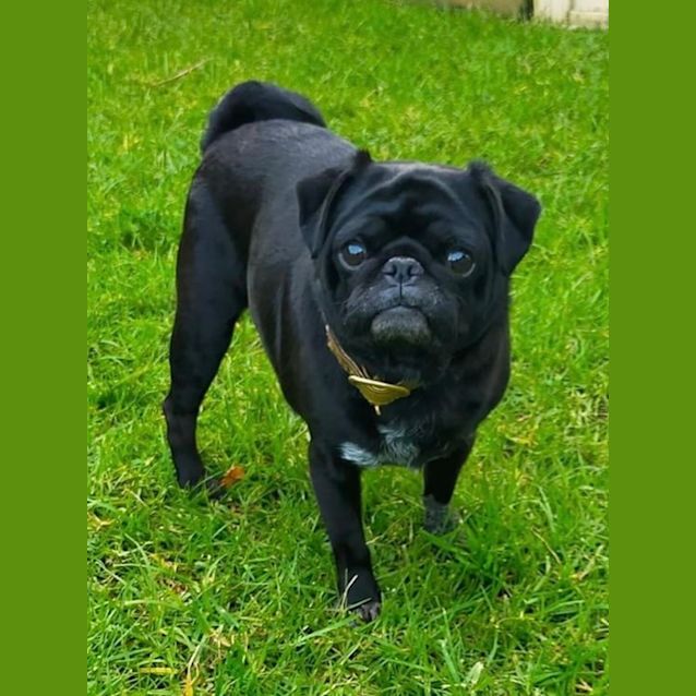 Photo of Achilles And Xena