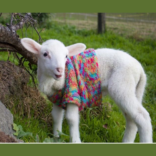 Photo of Daisy And Kelly