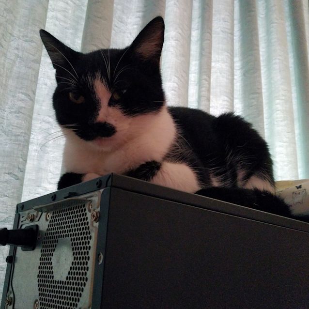 Photo of Holly