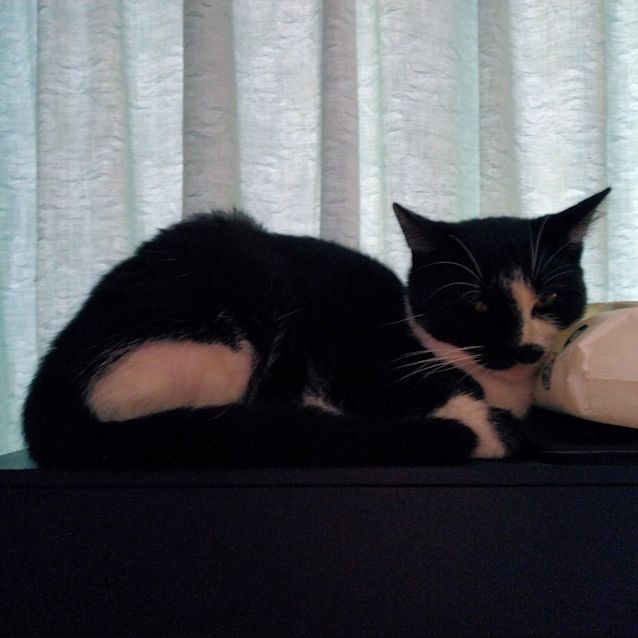 Photo of Holly