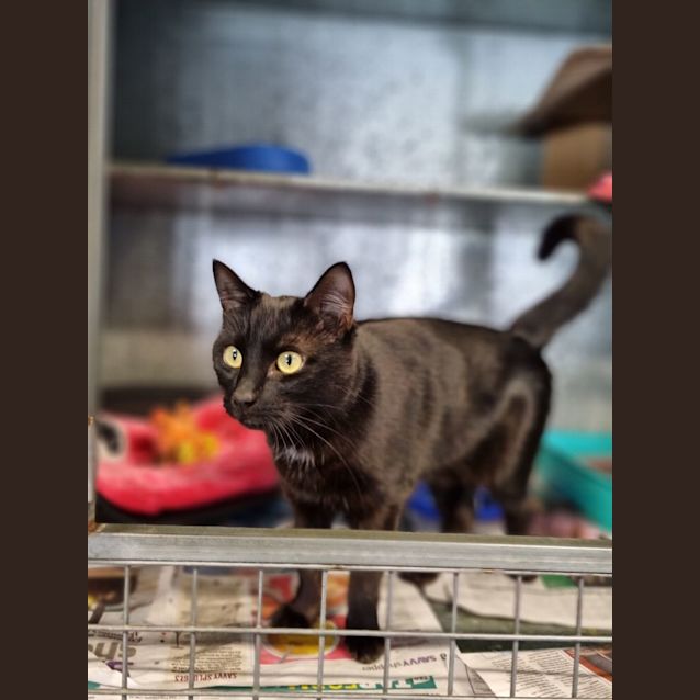 Photo of Prada