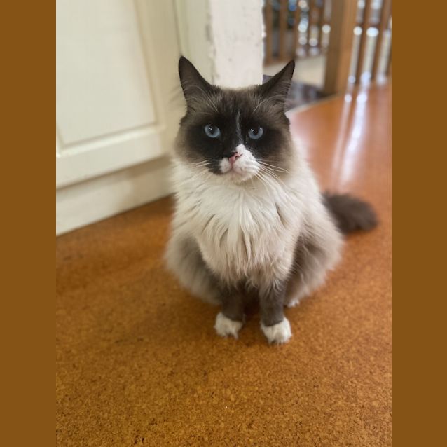 Photo of Truffles