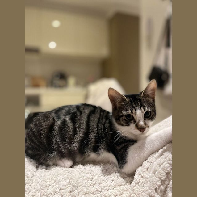 Photo of Bonnie   Located In Melbourne
