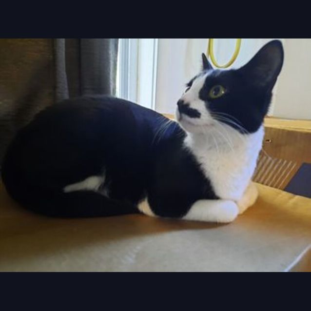 Photo of Penelope (Penny)