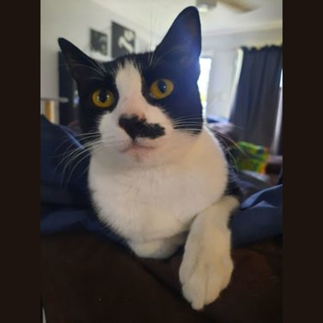 Photo of Penelope (Penny)