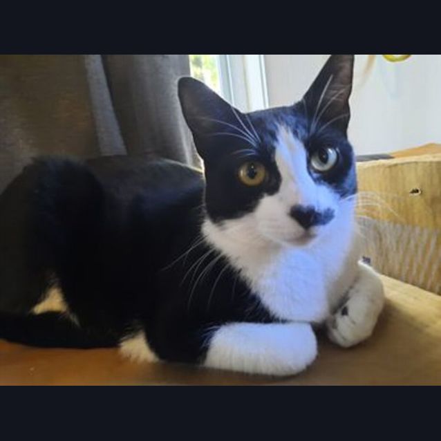 Photo of Penelope (Penny)