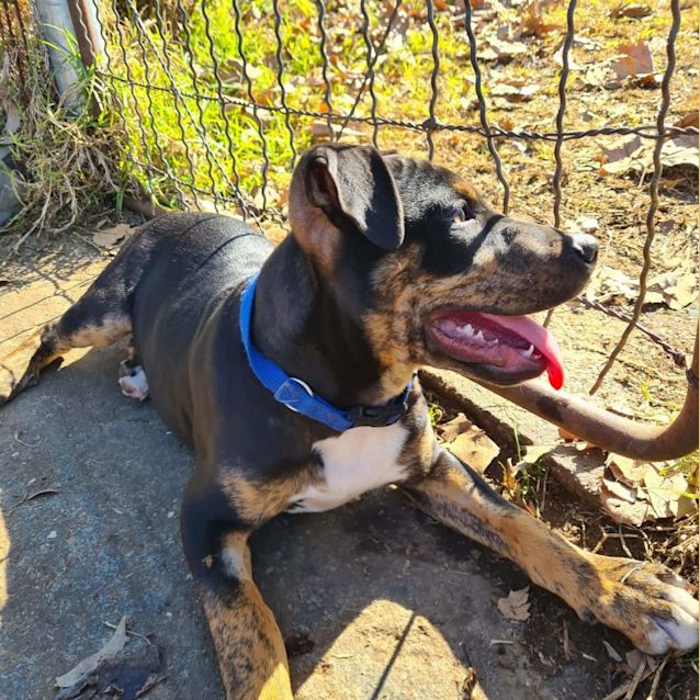 Photo of Zeus