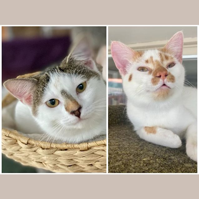 Photo of Isa & Kenzo Chikara