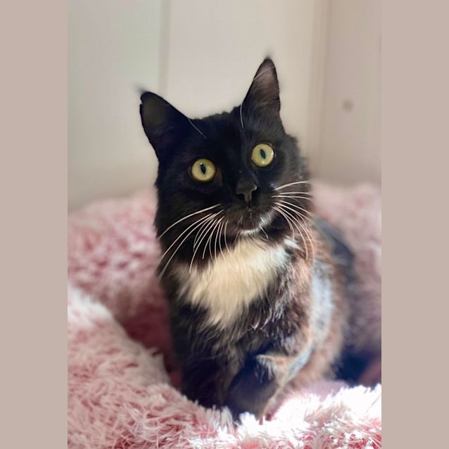 Photo of Doris