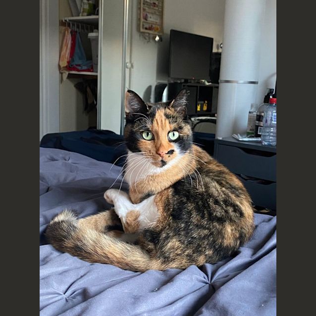 Photo of Lilly