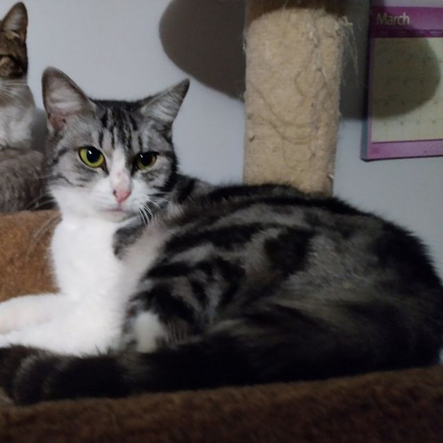 Photo of Mork