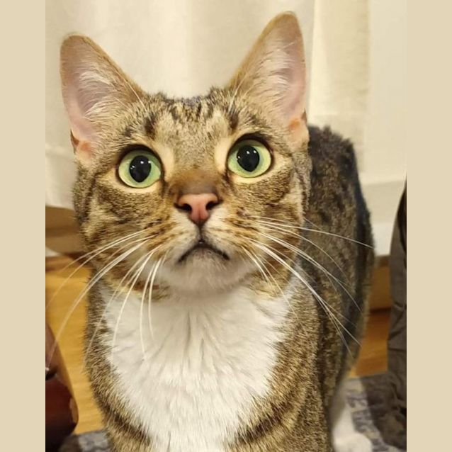 Photo of Octavia