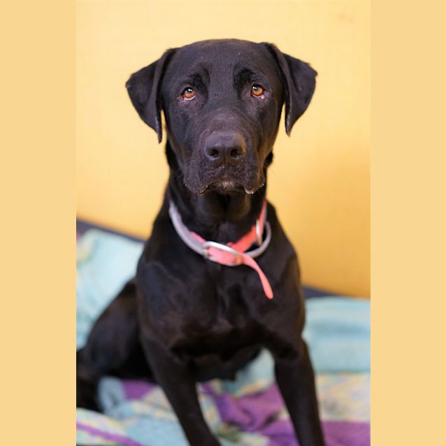 Photo of Winnie