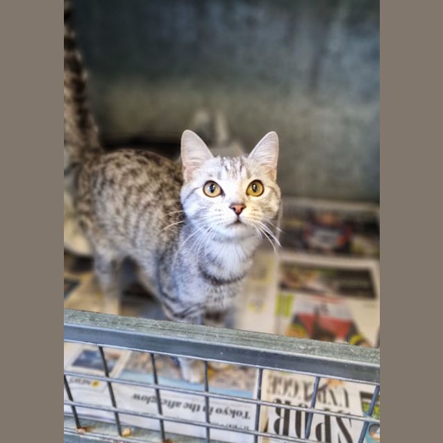 Photo of Evie
