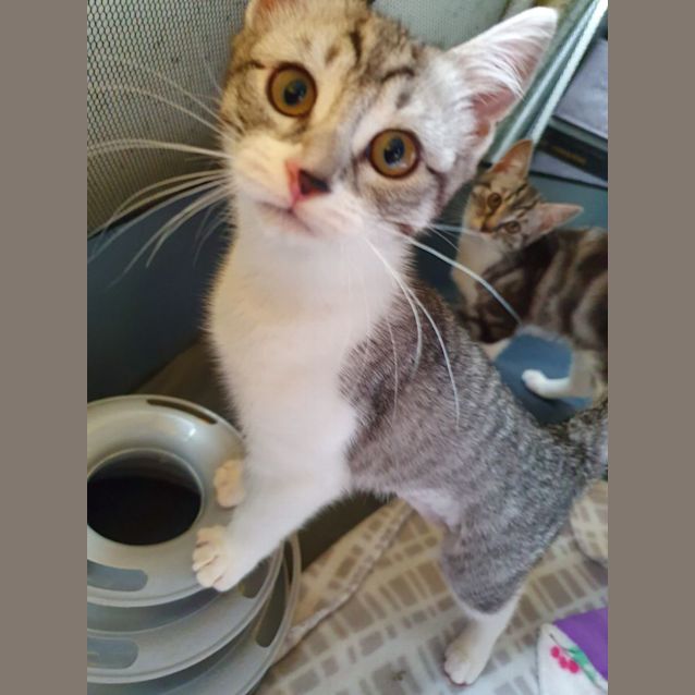 Photo of Jewel 
