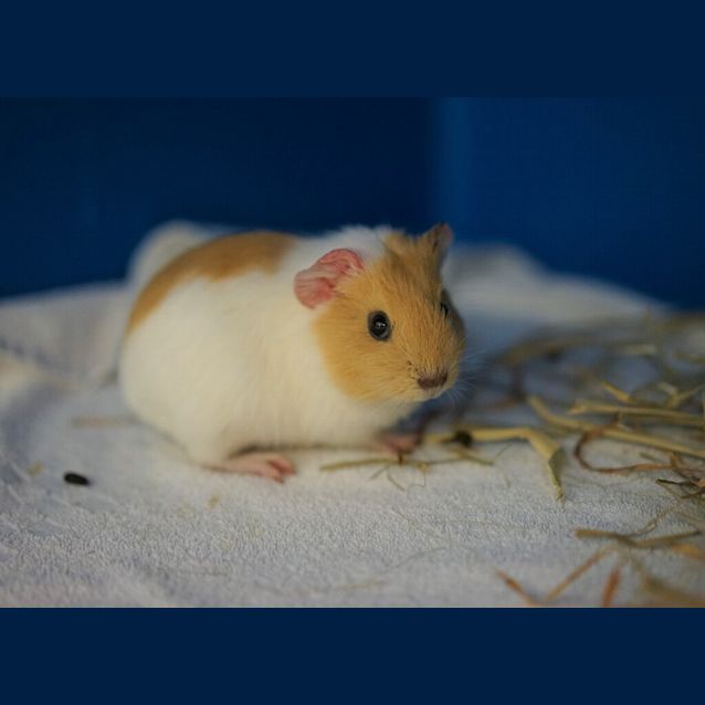 Photo of Lilly