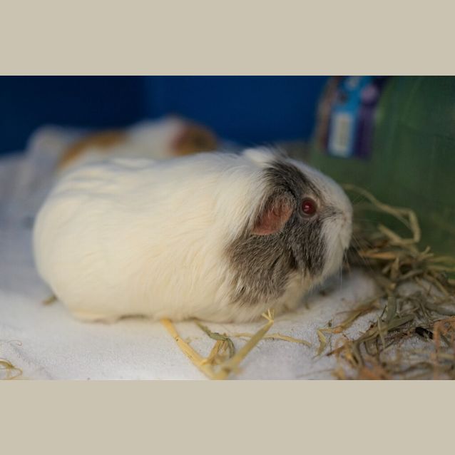 Photo of Smirnoff