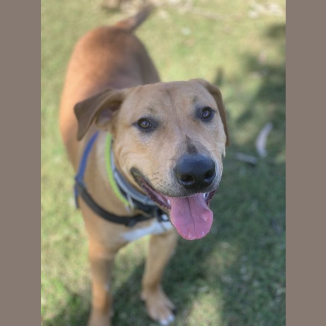 Photo of Tank