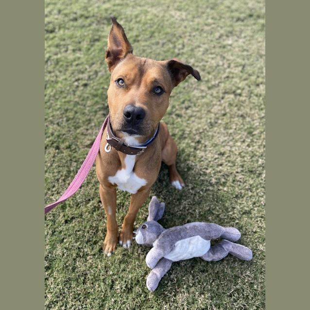 Photo of Roo