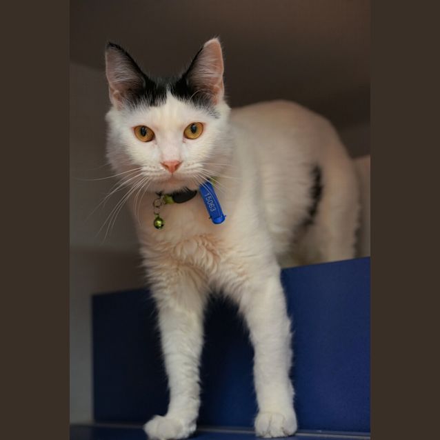 Photo of Baby Girl