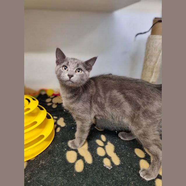 Photo of Squeak