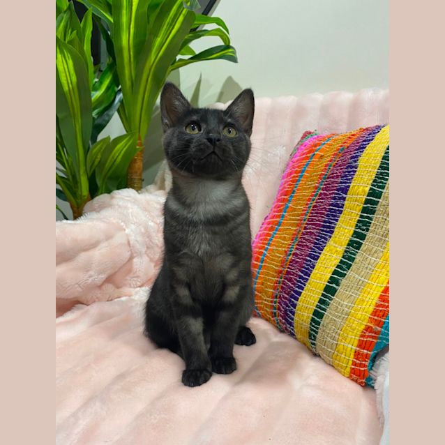 Photo of Jakub 🐾🖤