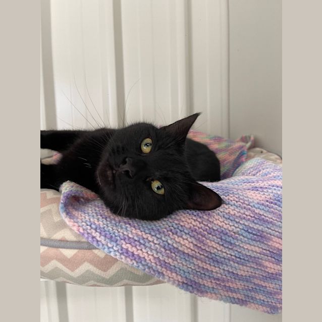 Photo of Spooky