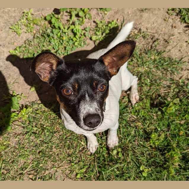 Photo of Loki