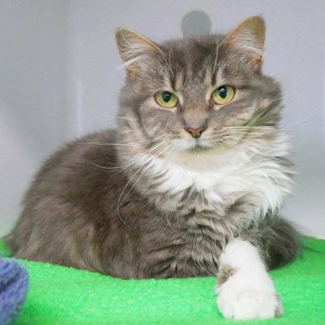 Photo of Eevie Sua010163