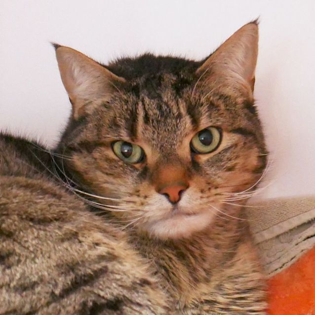 Photo of Jacob Sua010097