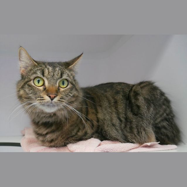 Photo of Lucy Sua010183