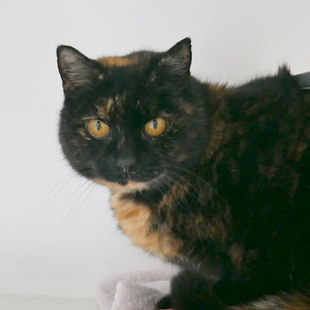 Photo of Missy Sua010023