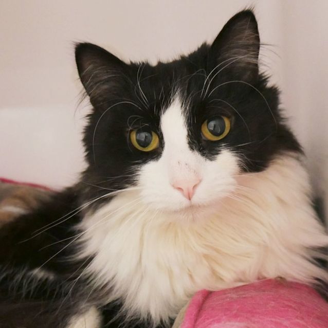 Photo of Rosie Sua010160