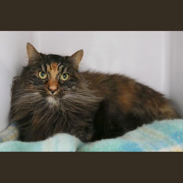 Photo of Ziggy Sua010145