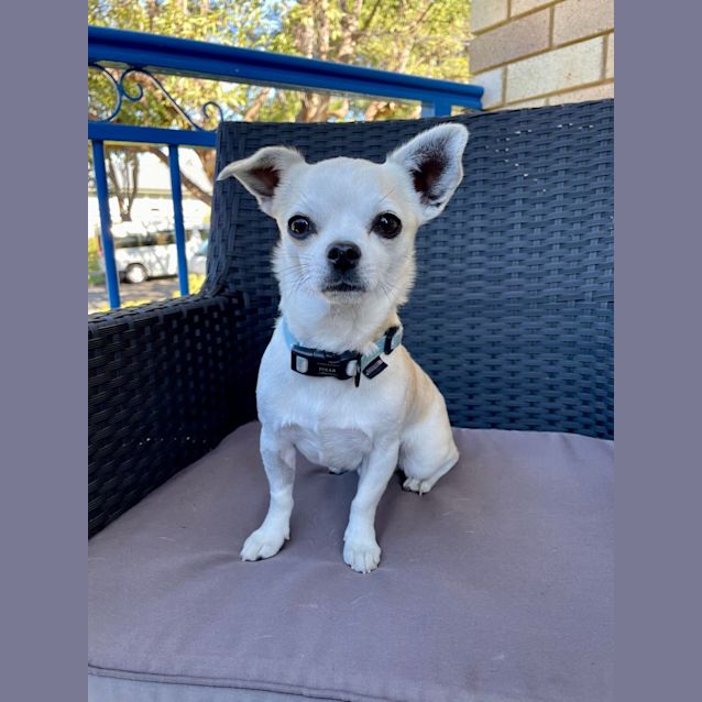 Photo of Queso