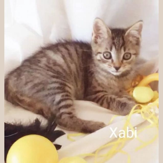 Photo of Xabi