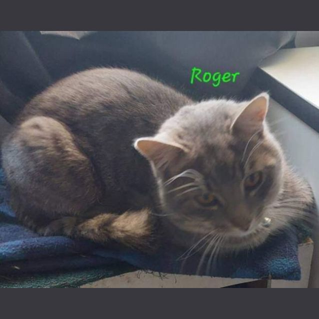 Photo of Roger