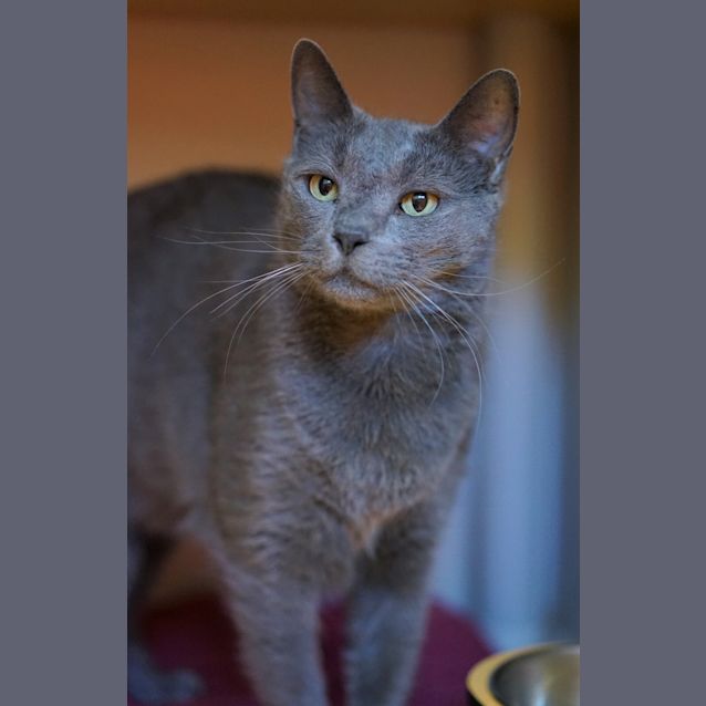 Photo of Calvin