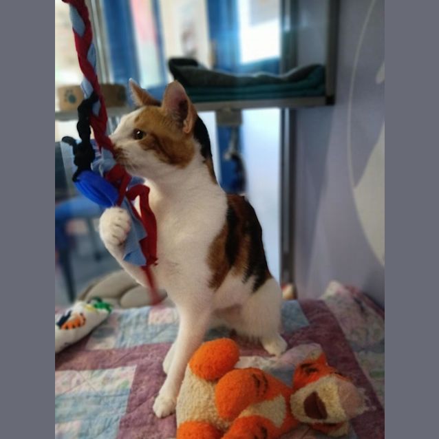 Photo of Darla