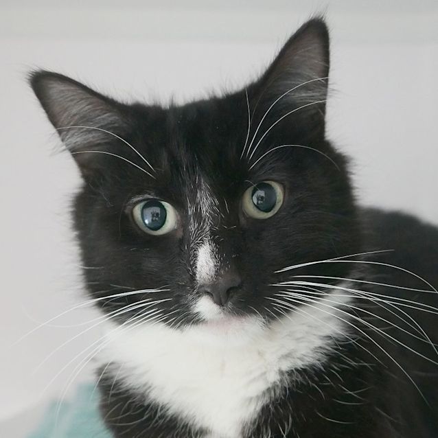 Photo of Blair Sua010187