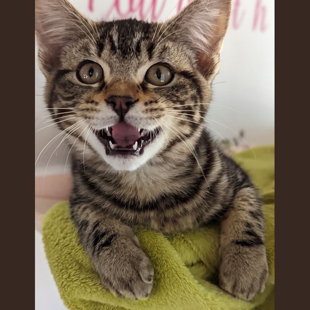 Photo of Charley