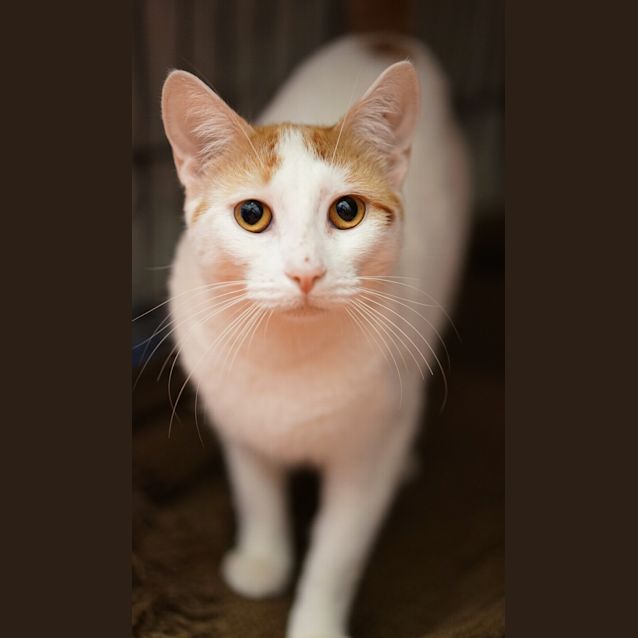 Photo of Gabby