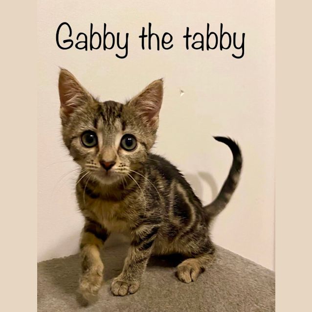 Photo of Gabby