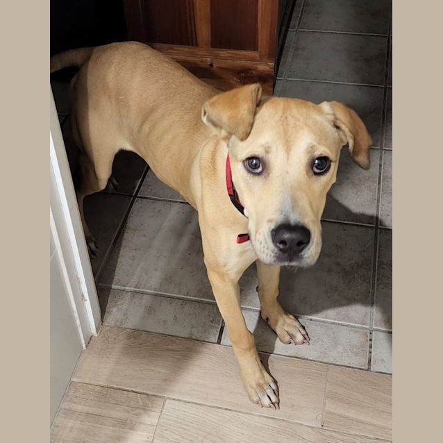 Photo of Rocket