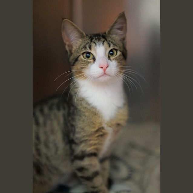 Photo of Huey